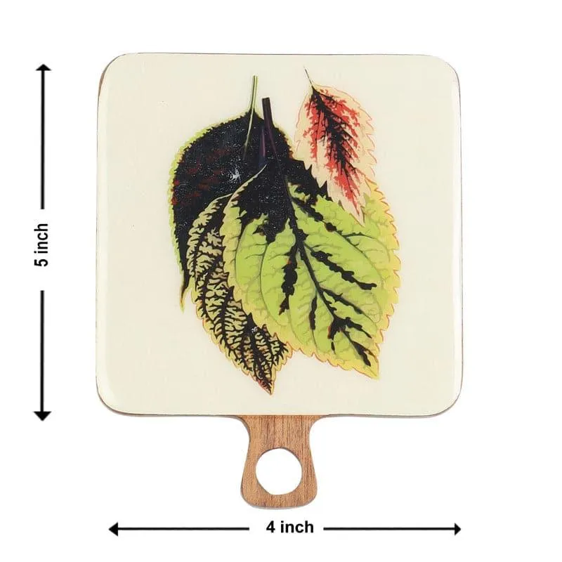Oribelle Mangowood Coaster - Set Of Four media 4