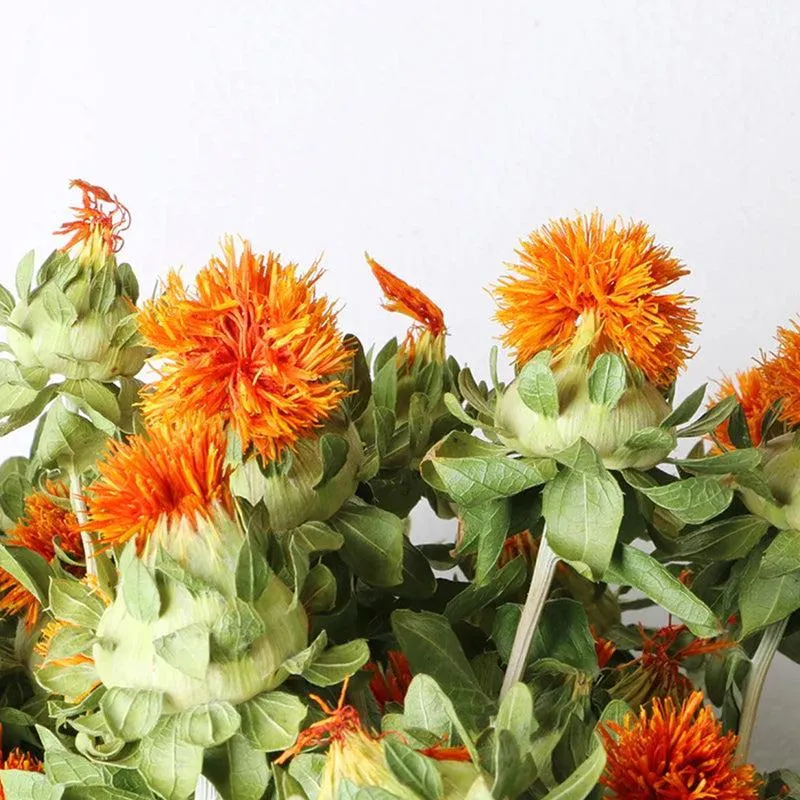 Dried Safflower - Set Of Five media 5