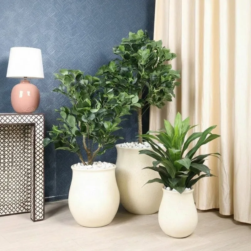 Clayra Floor Planter - Off White media 9