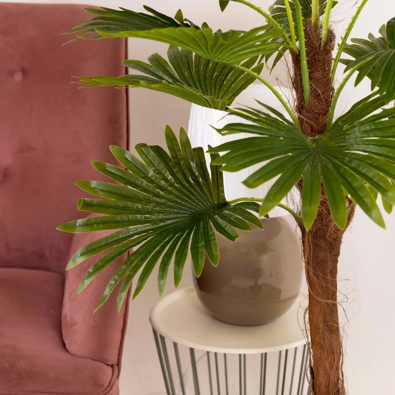 Artificial Raffix Palm Plant Without Pot - 4 Feet media 5