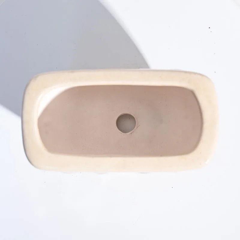 Ugaoo Watermelon Matte Finish Beige Ceramic Planter media 5