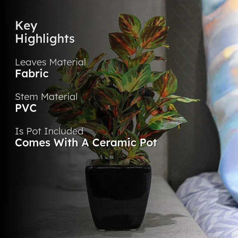 Artificial Coleus Leaf Bonsai Plant With Ceramic Pot - 0.7 Feet media 2