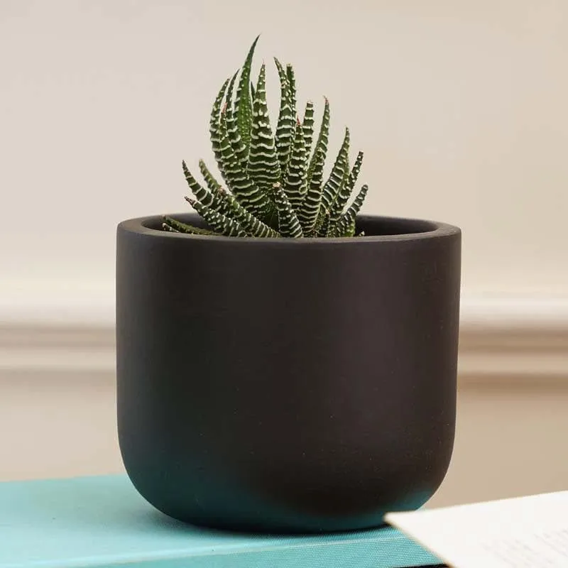 Oh-So Cute Planter- Black media 3