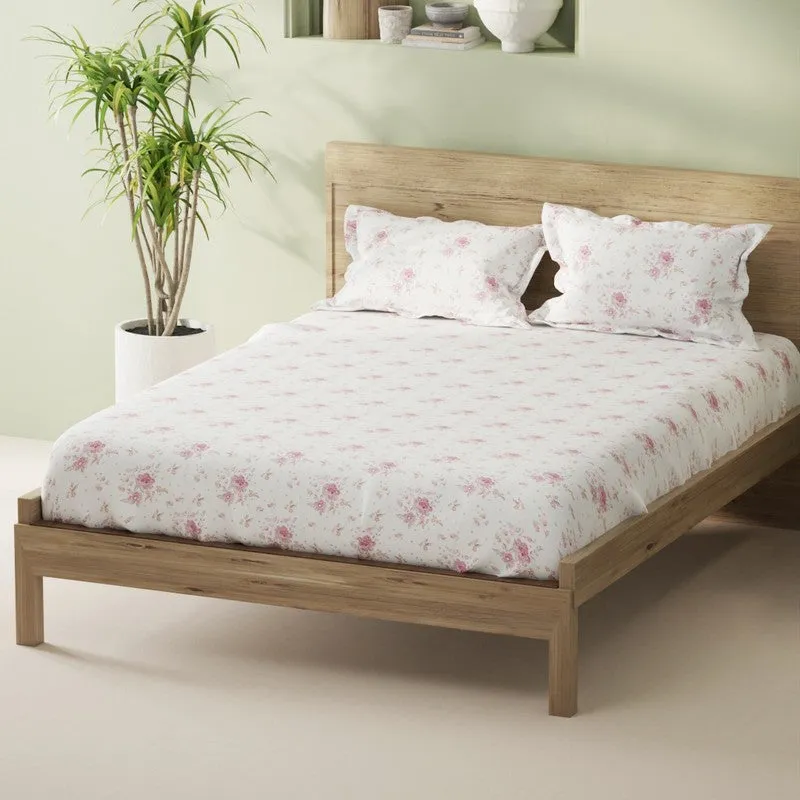 Novira Fitted Cotton Bedsheet (Red) - 144 TC media 1