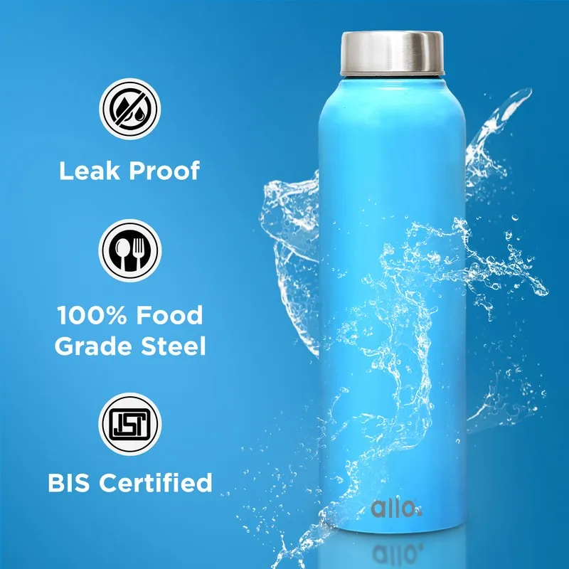 StreamFlex Stainless Steel Water Bottle - 950 mL - 6