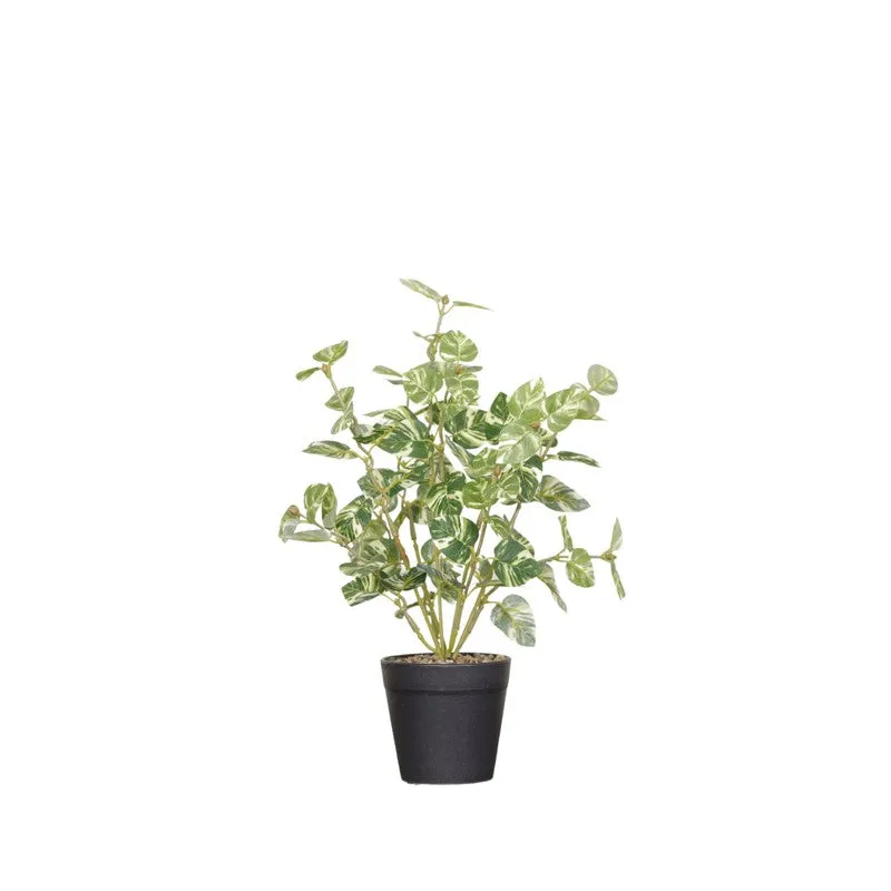 Artificial Pothos Plant With Black Fiber Pot (White) - 1 Feet media 4