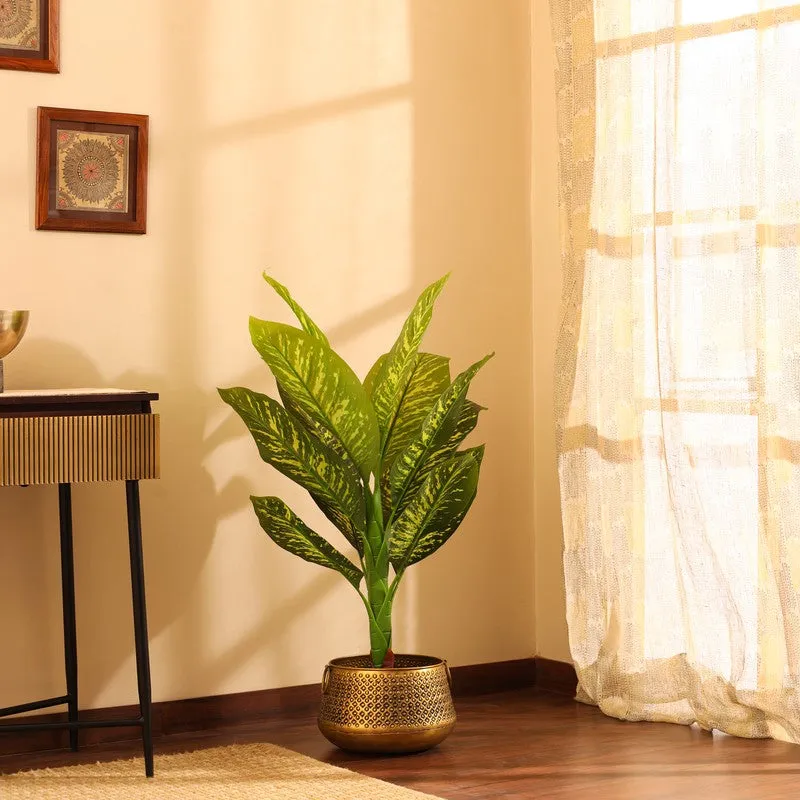 Artificial Dieffenbachia Plant With Black Plastic Pot 3 ft media 5