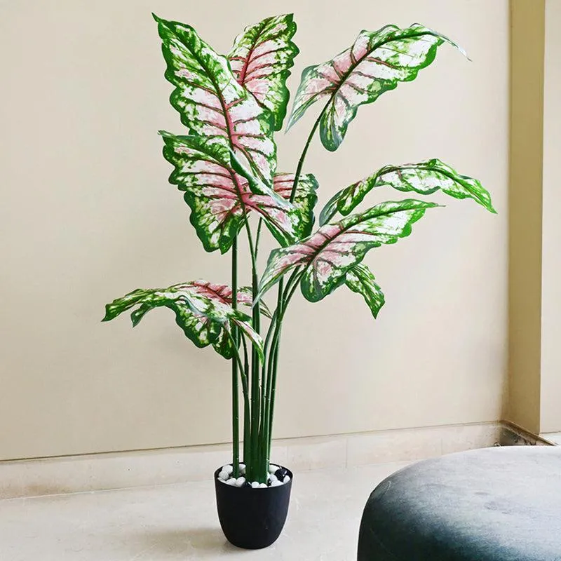 Calatrop Artificial Tropical Caladium With Basic Black Plastic Pot - 150 cm (5 ft) media 3