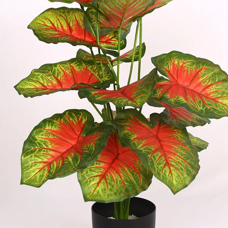 Calena Artificial Caladium With Black Plastic Pot - Red media 4