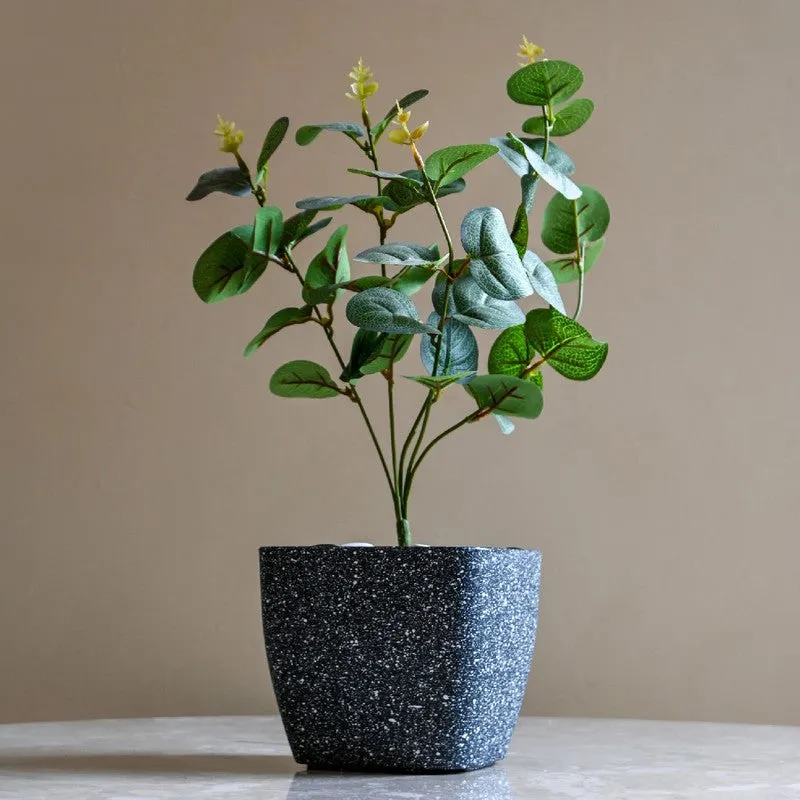 Monvia Plastic Garden Planter - Grey media 5
