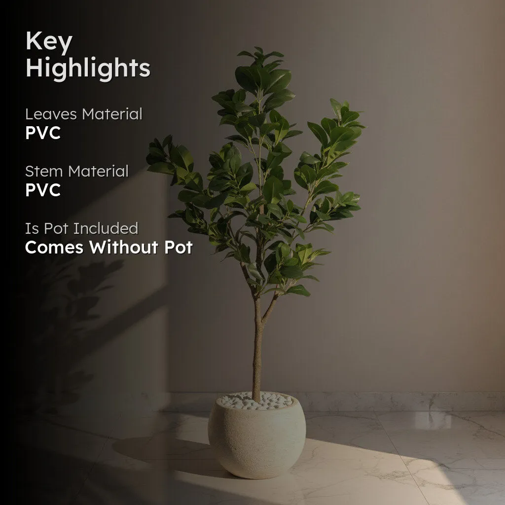 Artificial Peperomia Plant Without Pot - 3.9 Feet media 2