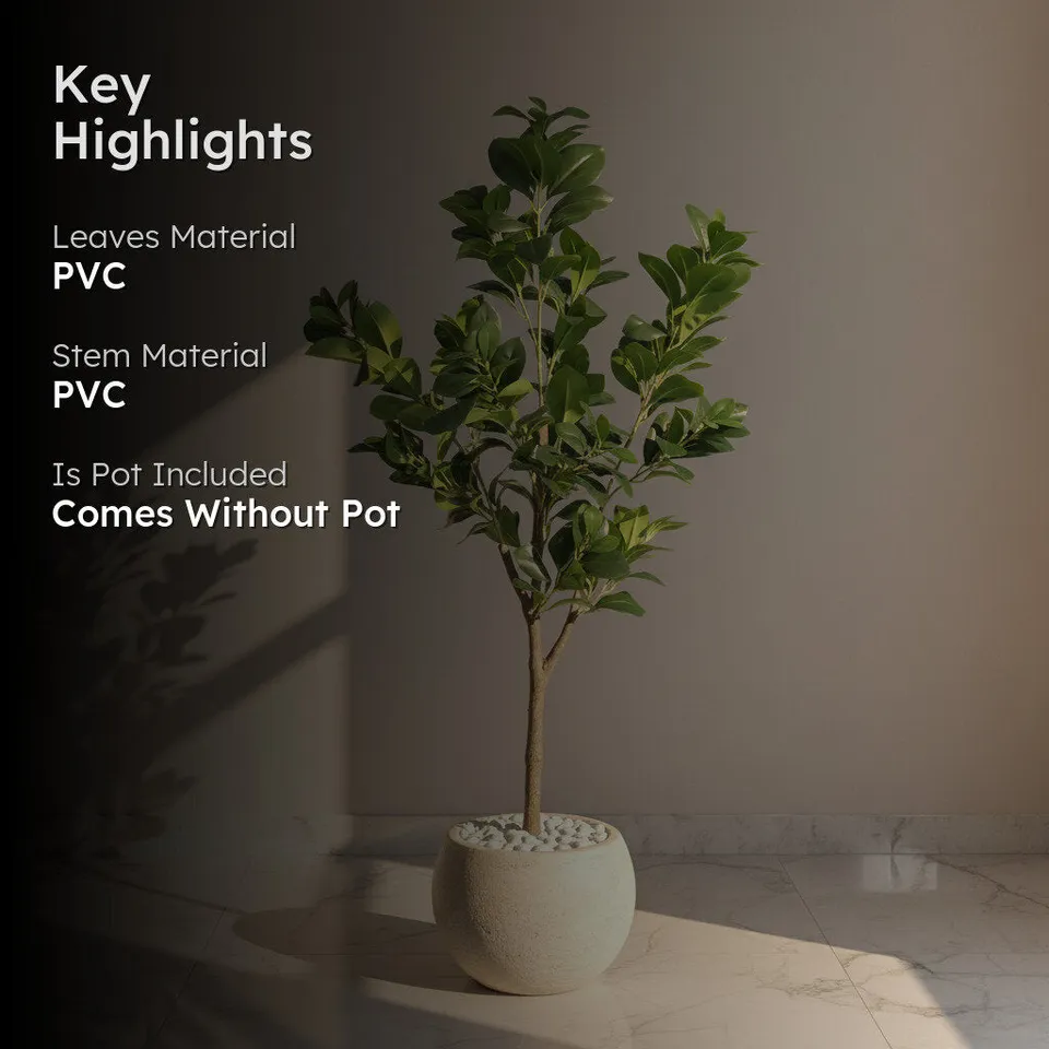 Artificial Peperomia Plant Without Pot - 3.9 Feet media 2