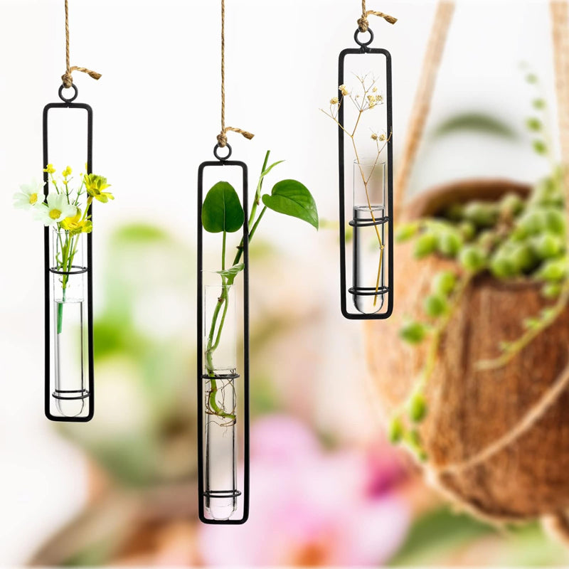 Mita Hanging Test Tube Planter media 6