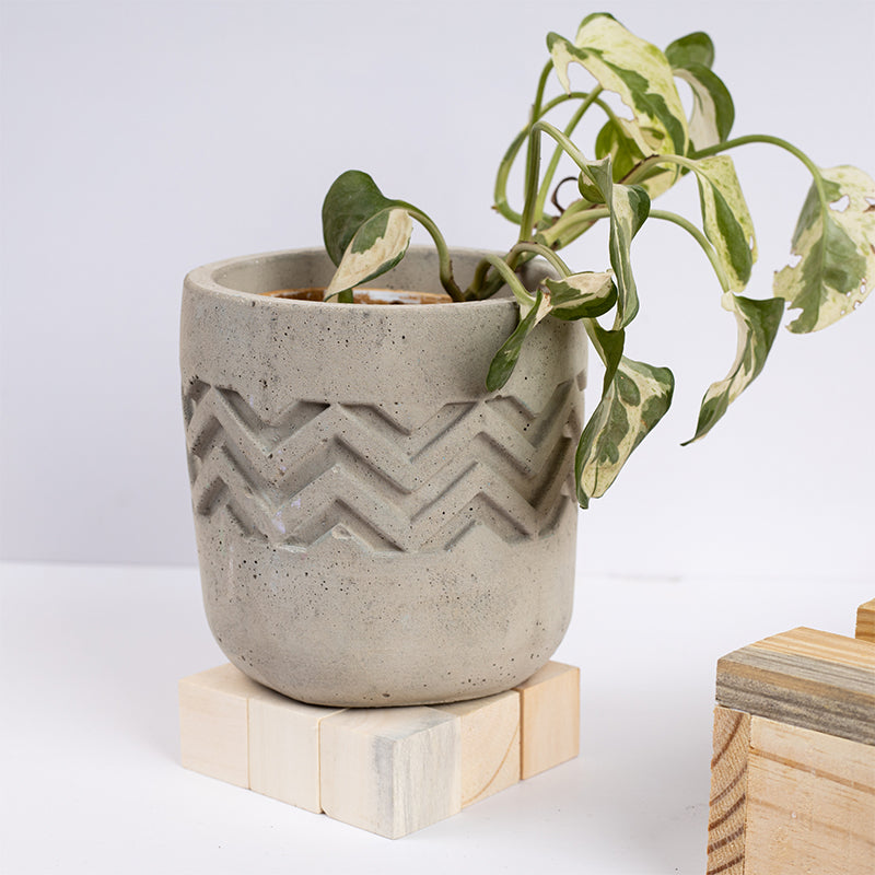 Urva Concrete Planter media 2
