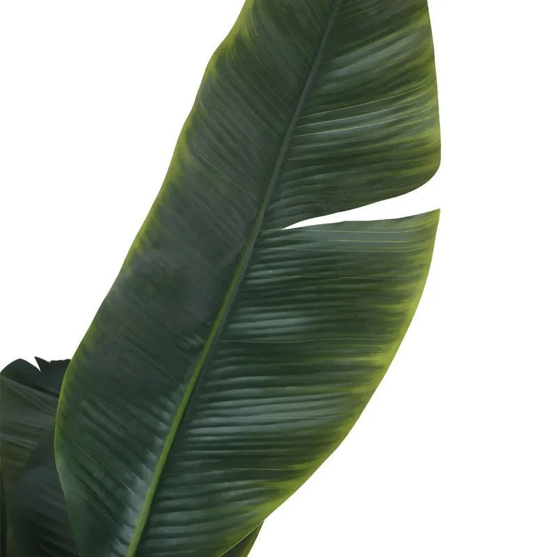 Faux Realtouch Banana Plant With Black Fiber Pot - 5.9 Feet media 6