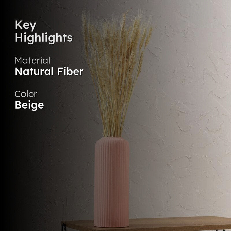 (Beige) Dried Wheat Stems (60 cms) - Set Of Twenty Five media 2