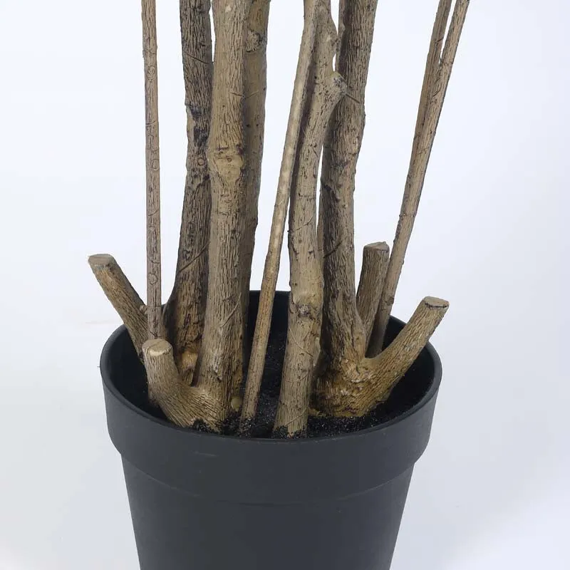 Faux Lush Dracaena Reflexa Plant With Black Plastic Pot - 5.2 Feet media 5