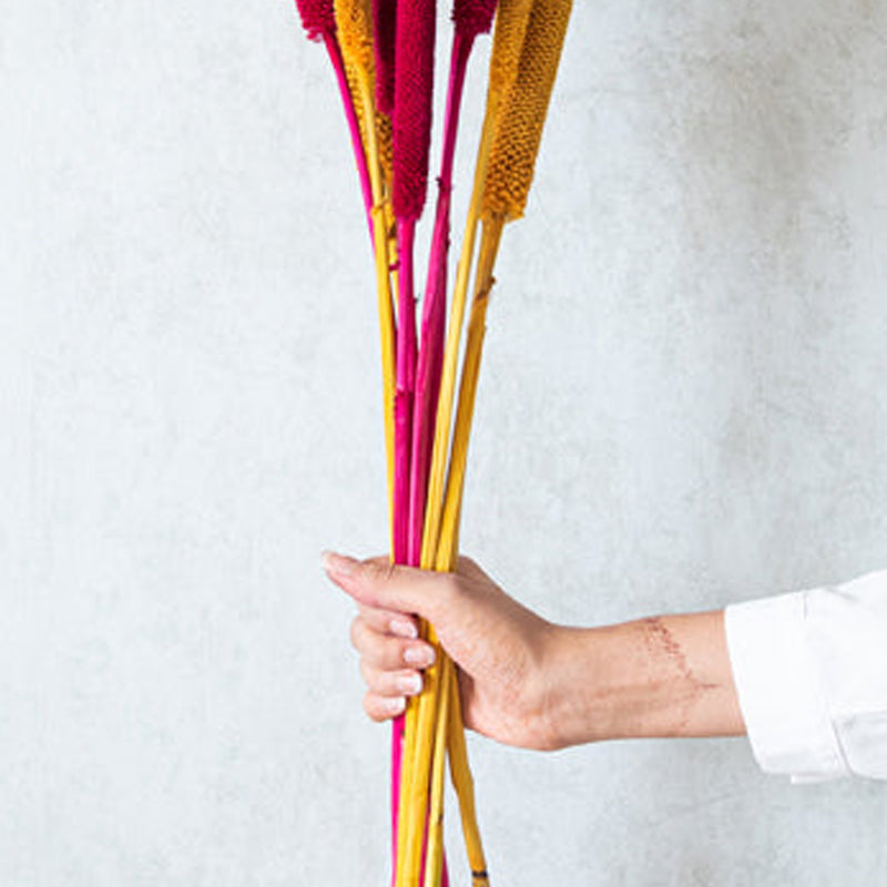 Sival Dried Millet Stick (MultiColor) - Set Of Ten media 5