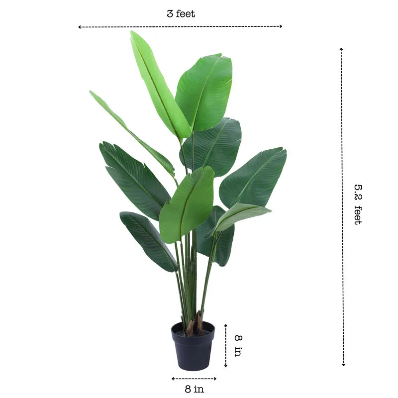 Artificial Realistic Banana Plant With Black Plastic Pot - 5.2 Feet media 8