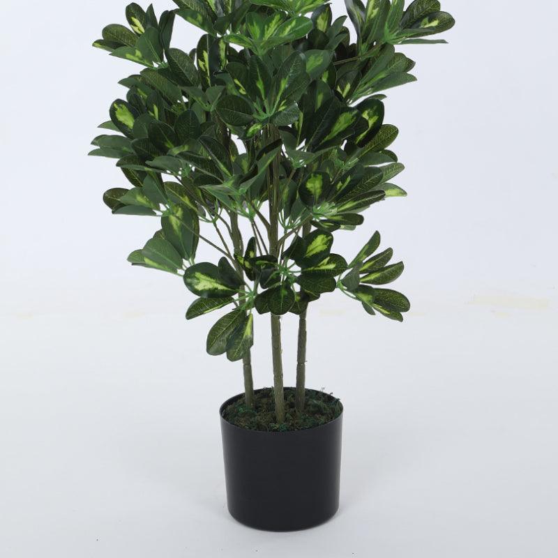 Faux Schefflera Plant With Black Plastic Pot (3.94 ft) - White media 5