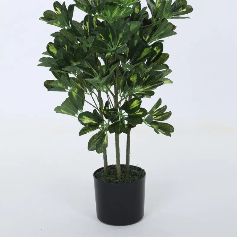 Faux Schefflera Plant With Black Plastic Pot (3.94 ft) - White media 5