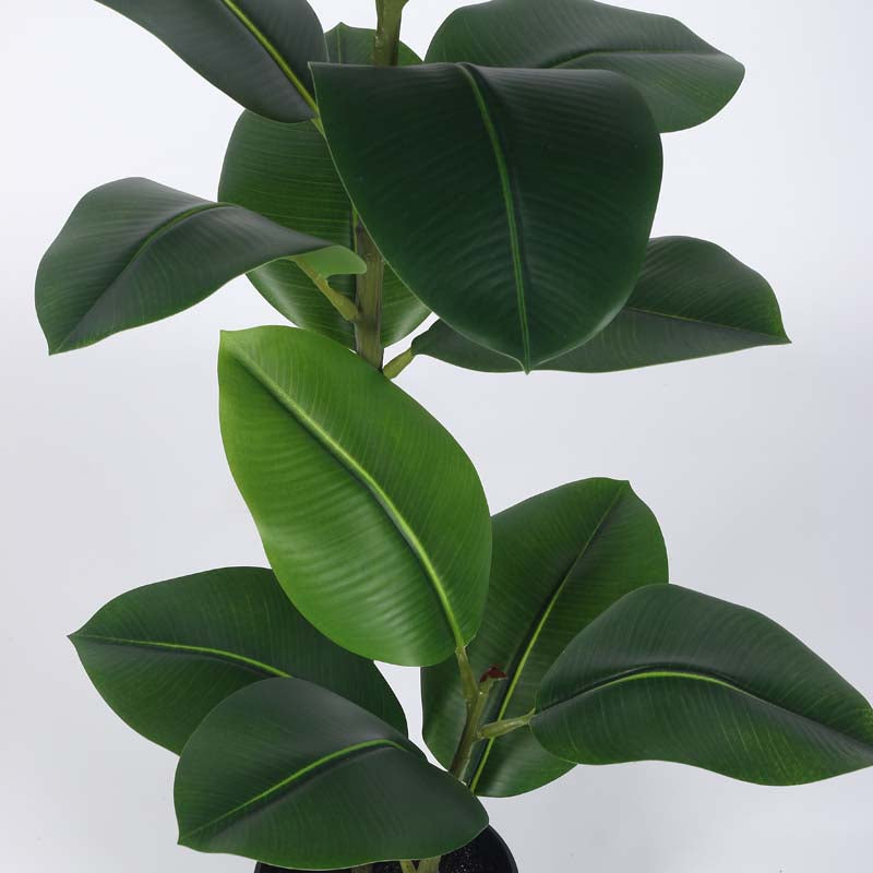 Faux Lush Rubber Plant With Black Plastic Pot - 4 Feet media 4