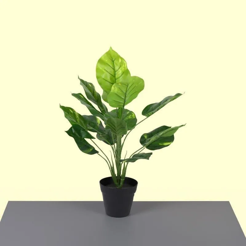 Faux Touch Pothos Bonsai In Black Plastic Pot - 45 cms media 3