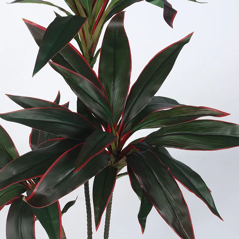 Edora Artificial Dracaena With Black Plastic Pot - 4 Feet media 4