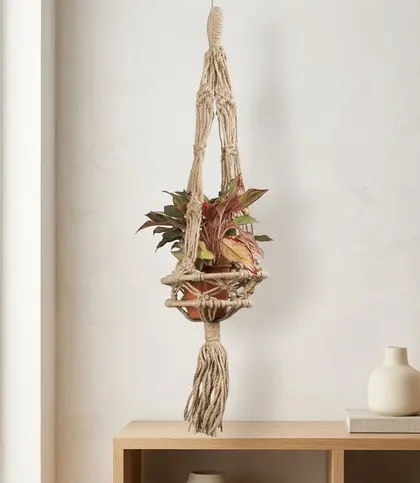 Jute
