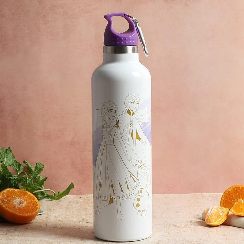 Frozen Magna Insulated Bottle - 1000 mL media 1