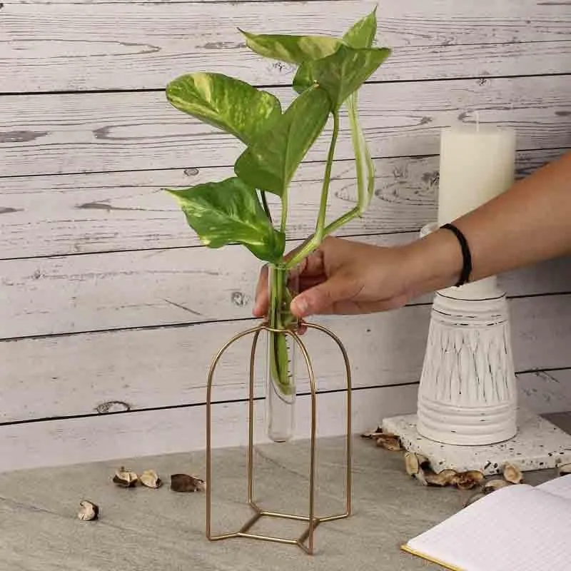 Zenith Testube Planter - Gold media 3