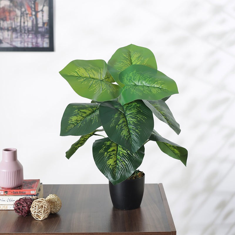 Faux Deco Dieffenbachia Silk Plant With Black Plastic Pot - 55 cms media 2