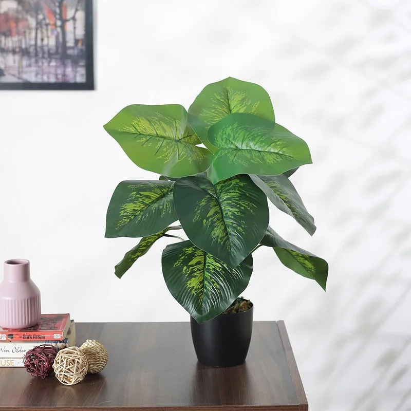 Faux Deco Dieffenbachia Silk Plant With Black Plastic Pot - 55 cms media 2