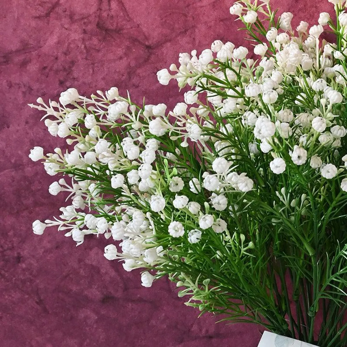 Close-up of white baby breath blooms with green stems against a plum backdrop