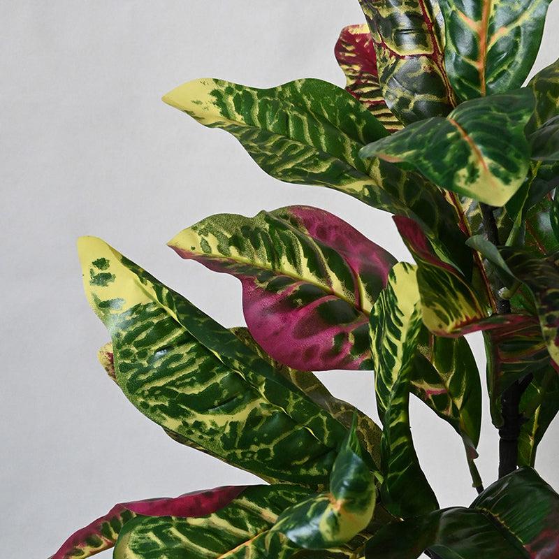Faux Everlasting Garden Croton Plant With Black Plastic Pot - 74 cm (2.4 ft) media 4