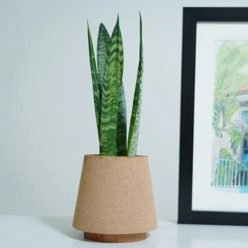 Timberland Paradise Planter media 3