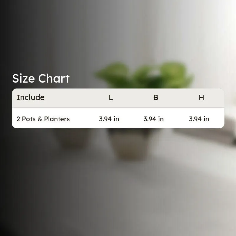 PureLuxe Pots & Planters (Brown,white) - Set Of Two media 10
