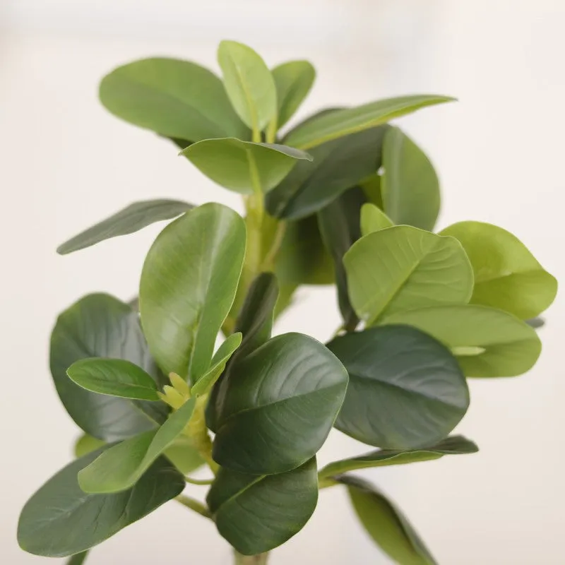 Artificial Green Natural Lookingquercus Leaf Plant With Black Fiber Pot - 1.2 Feet media 6