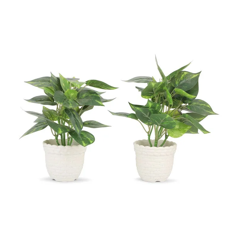 Neonix Syngonium Artificial Plant With Plastic Pot - 0.8 Feet media 3