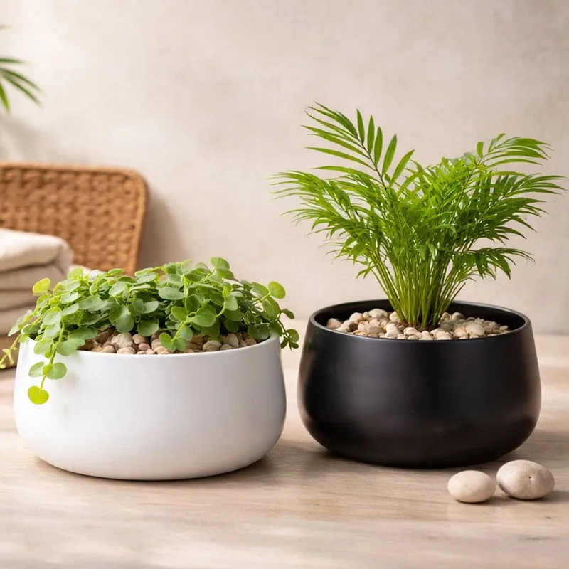 MinimalAura Pots & Planters (White, Black) - Set of Two media 3