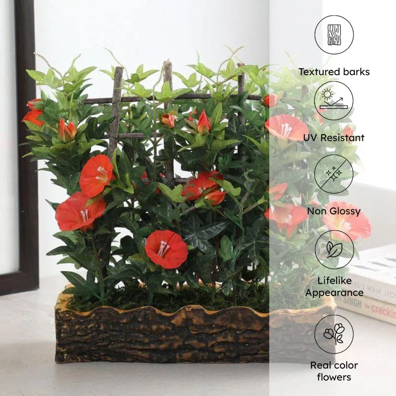 Faux Morning Glory Bonsai In Rustic Pot (27 cms) - Orange media 4