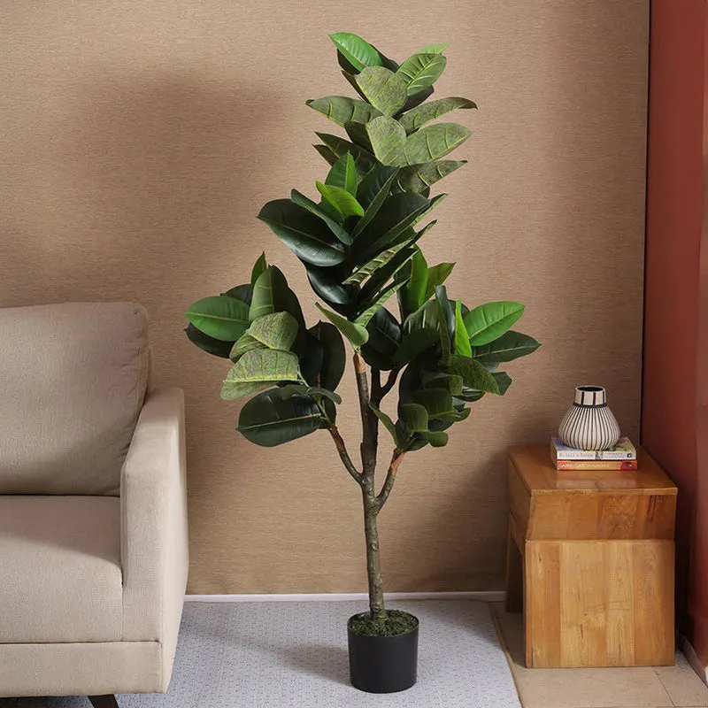 Faux Rubber Plant With Black Plastic Pot media 3
