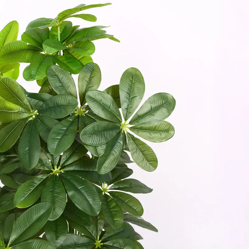 Verdiq Artificial Schefflera With Black Plastic Pot - 4 Feet media 4