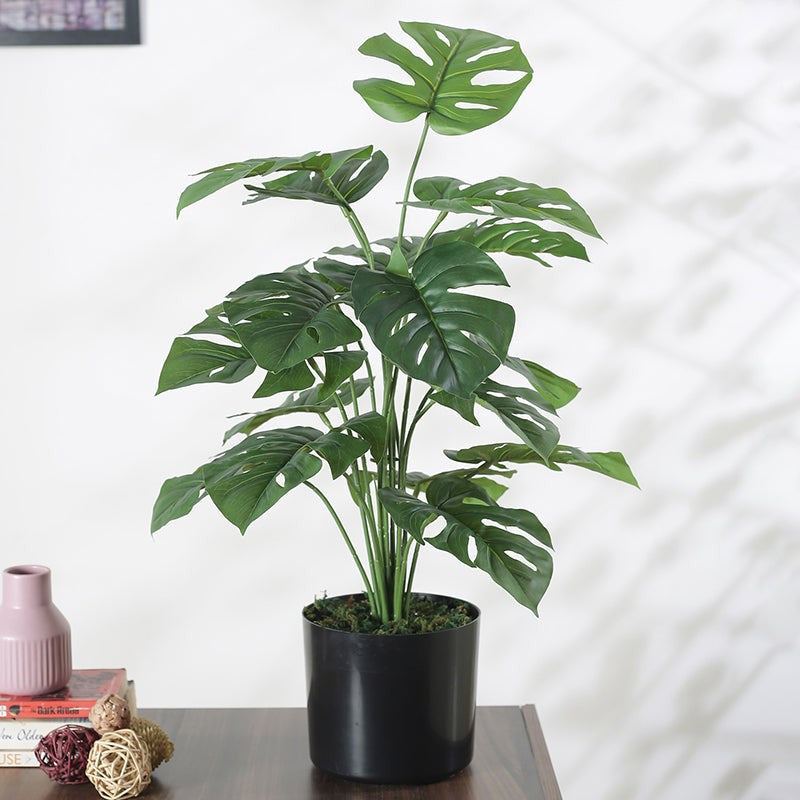 Faux Fringe Monstera Artificial Plant With Black Plastic Pot - 2.13 ft media 3
