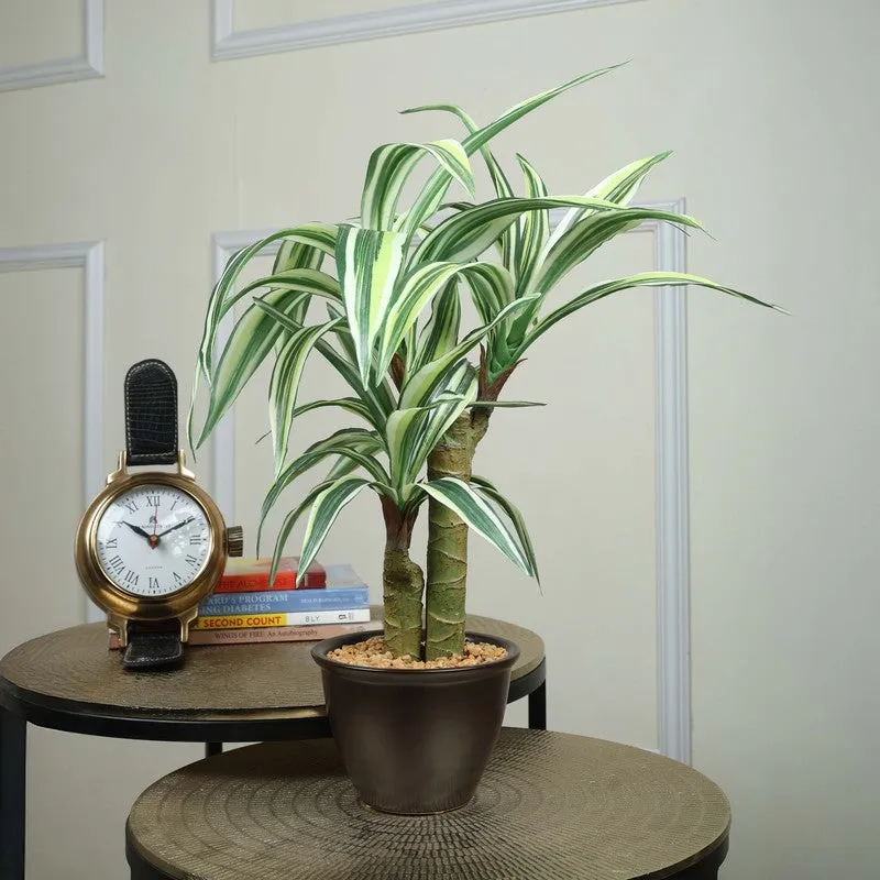 Artificial Yellow Dracaena Bonsai Plant With White Ceramic Pot - 1.8 Feet media 1