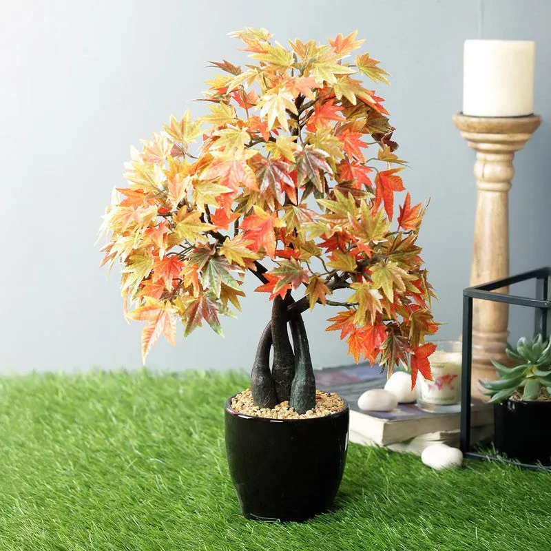 Artificial Multicolor Maple Bonsai Plant With Ceramic Pot - 1.3 Feet media 1