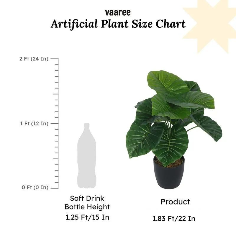 Faux Lush Rubber Fig Plant With Black Plastic Pot - 1.8 Feet media 7