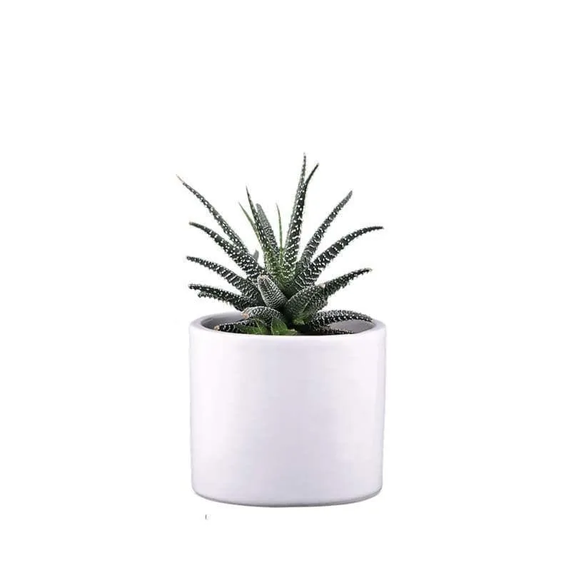 Ugaoo Pipe White Ceramic Pot media 3