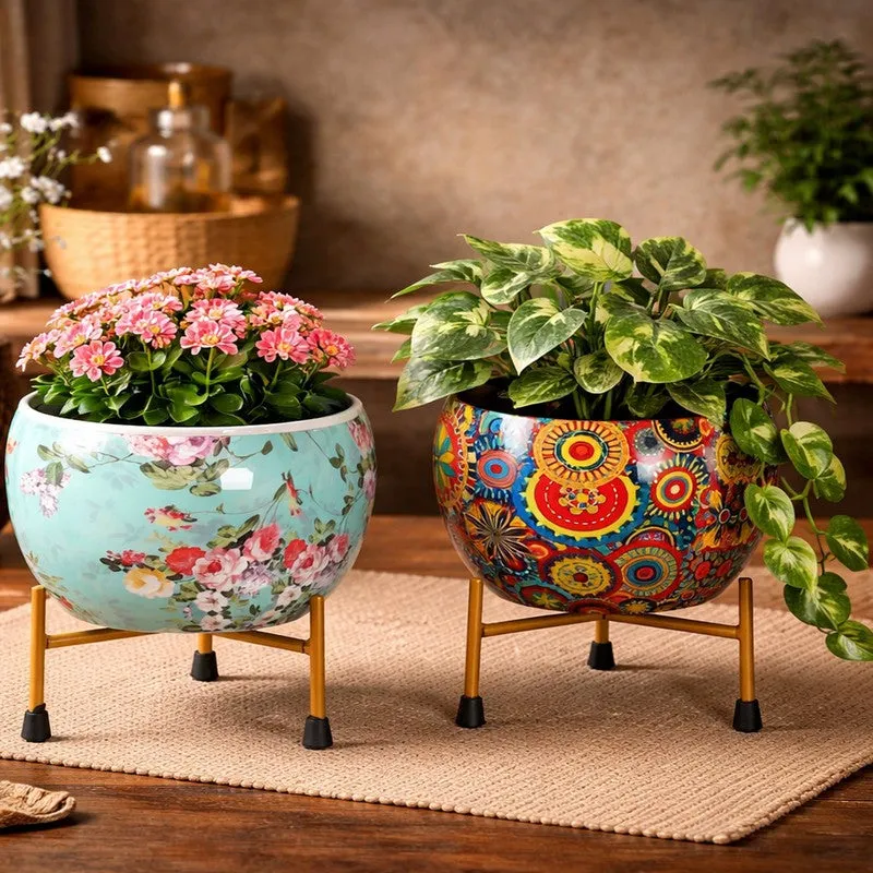 BloomCraft Pots & Planter - Set of Two media 3