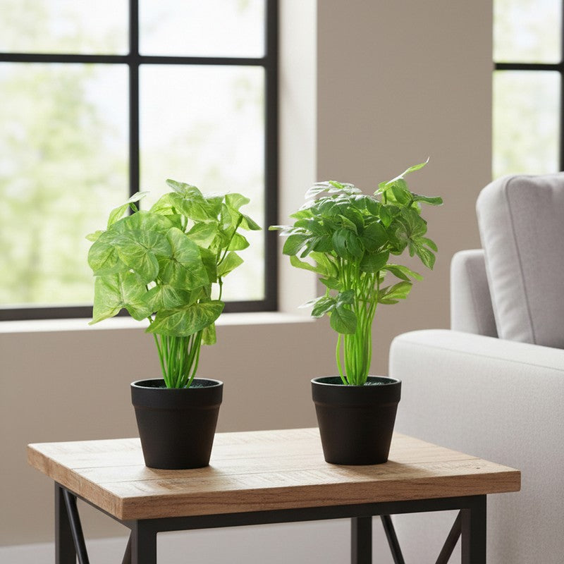 Neonix Monstera Artificial Plant With Plastic Pot - 0.8 Feet